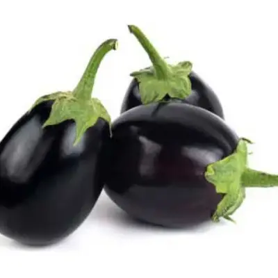 باذنجان أسود صغير