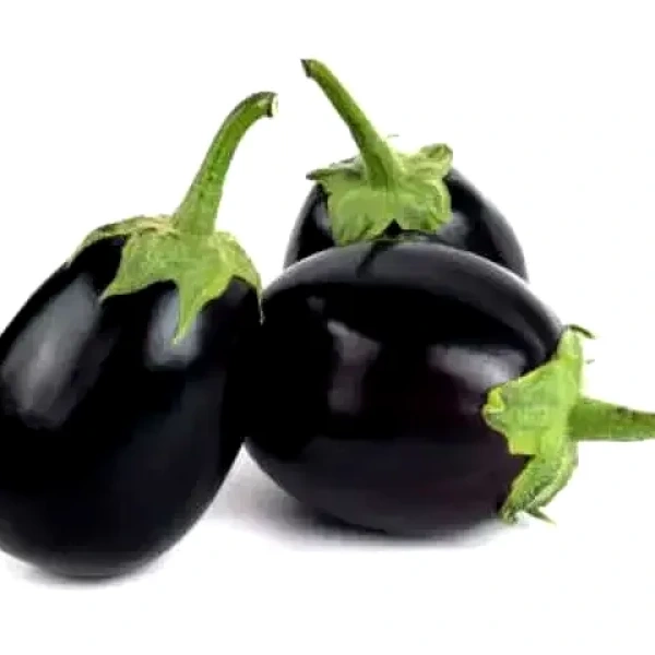 باذنجان أسود صغير
