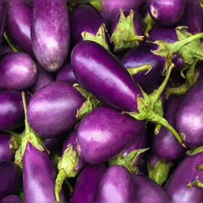 باذنجان باتيري (كيلو)
