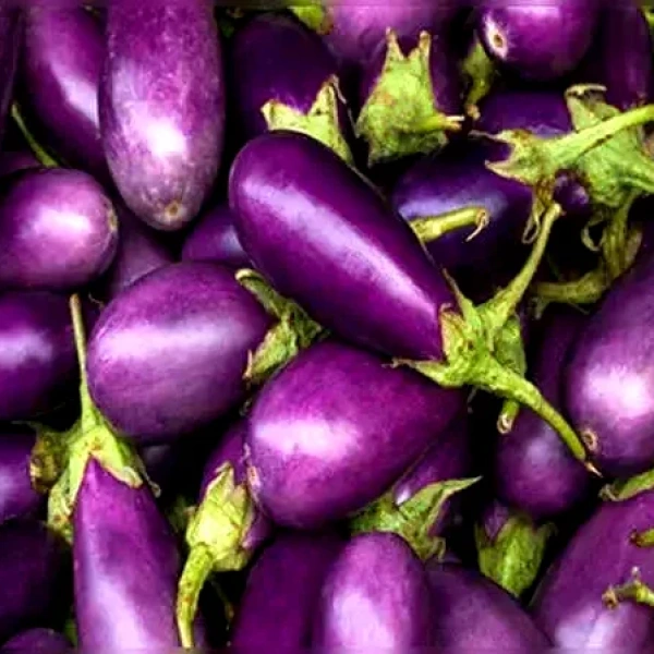 باذنجان باتيري (كيلو)