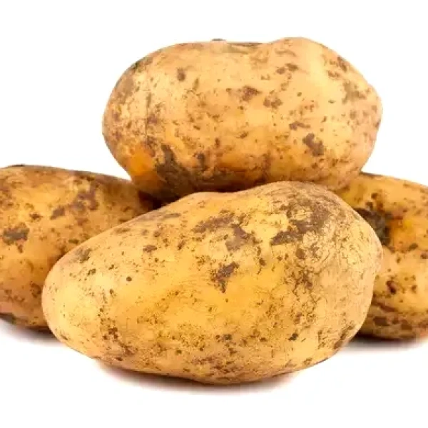بطاطا بلدية