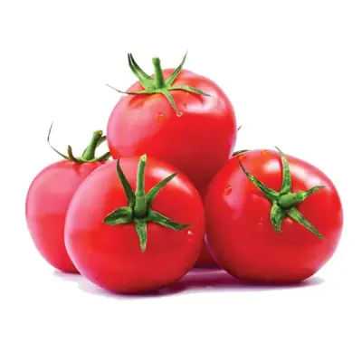 بندوره حمموت كيلو