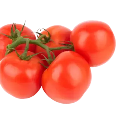 بندوره قطوف  كيلو