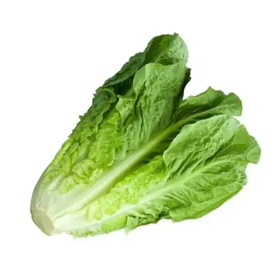خس