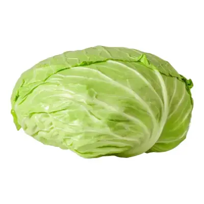 ملفوف لف