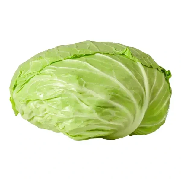 ملفوف لف