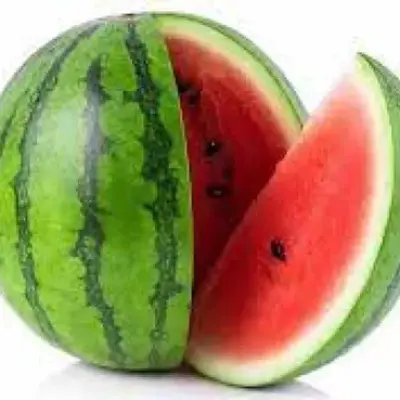 بطيخه