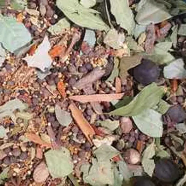 توابل سلق اللحمه