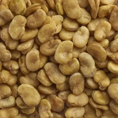 فول مملح