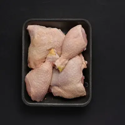 مجاش فخاد دجاج