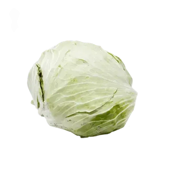 ملفوف بلدي حبة