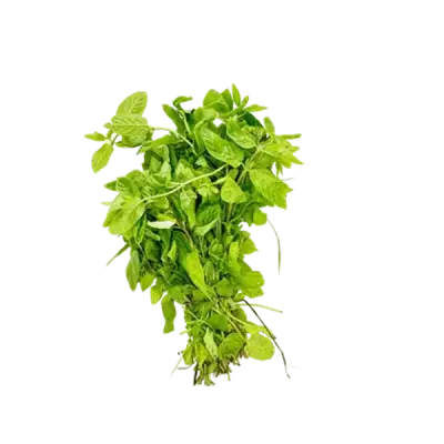 نعنع ضمة