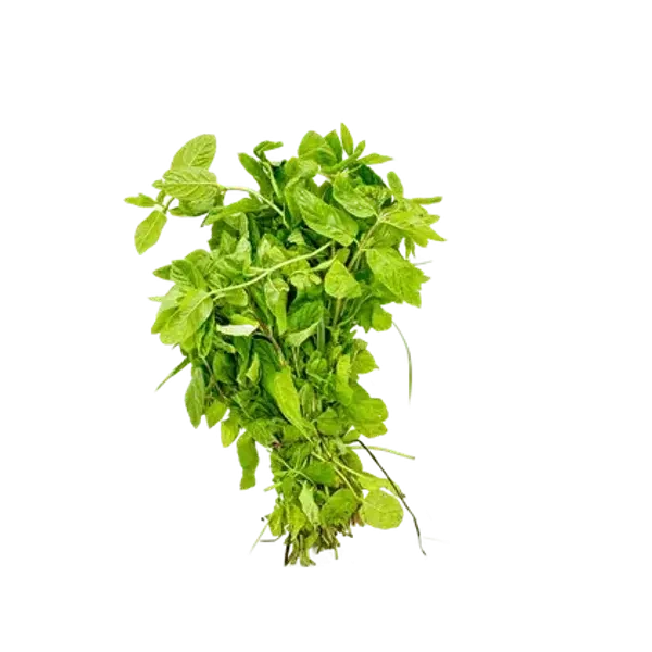 نعنع ضمة
