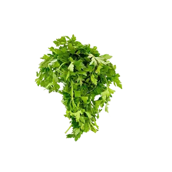 كزبرة ضمة