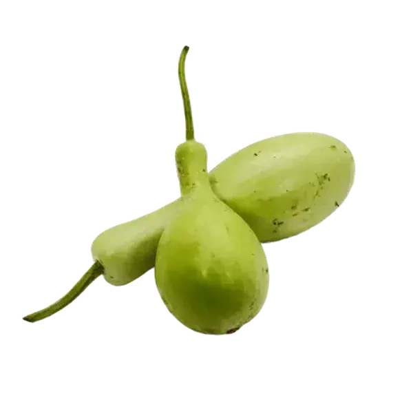 قرع