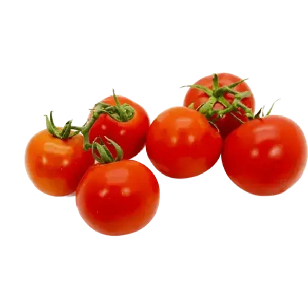 بندورة قطوف