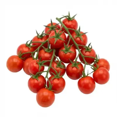 بندورة شيري دائرية 1 كيلو