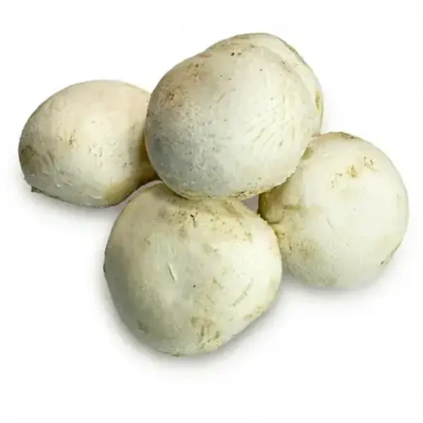 فطر حبة كبيرة ابيض 500 غم