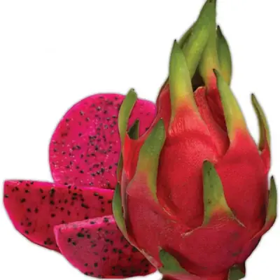 باتايا حمراء