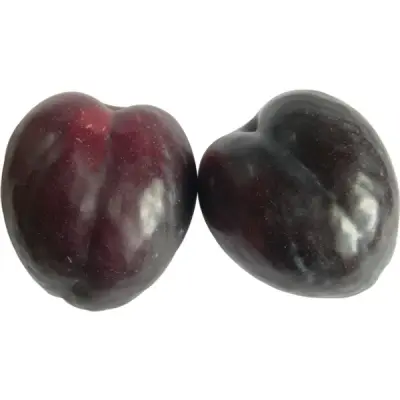 برقوق أحمر