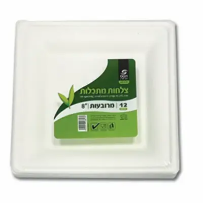 צלחת 8 מתקלה ארוז 12