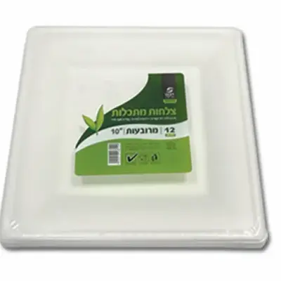 צלחת 10 מרובעת מתקלה ארוז 12