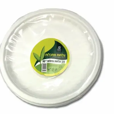 צלחת 10 מתקלה ארוז 25