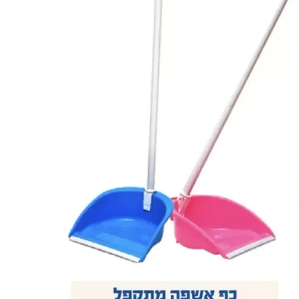 יעל איכותי עומד שייני