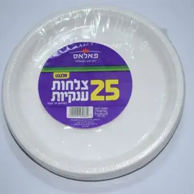 צלחות 10 ארוז 20