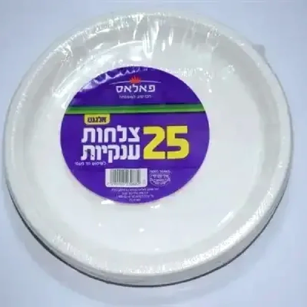צלחות 10 ארוז 20